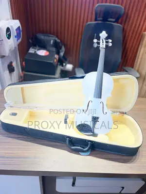 White Acoustic Violin