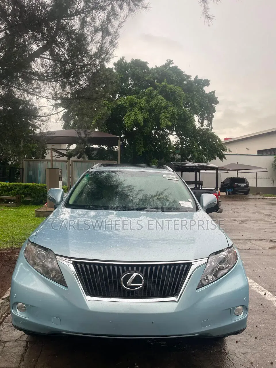 Lexus RX 2010 Blue