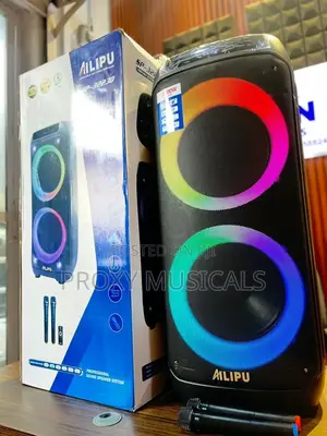 Ailipu Double 15inches PA System/Party Box System With 2 Wireless Mics