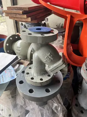 Strainer Valve