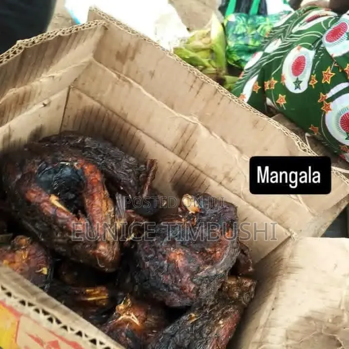 Maiduguri Dried Fish
