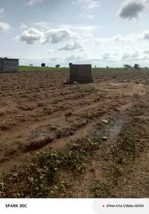Plot of Land