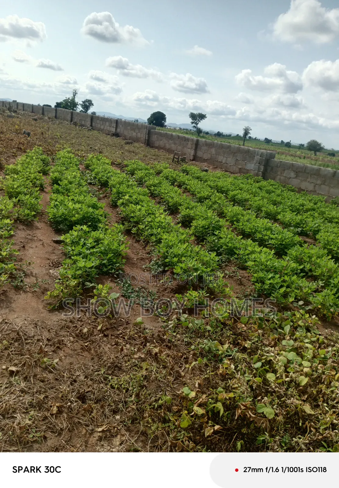 Plot of Land