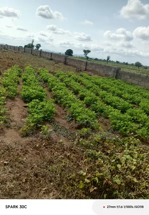 Plot of Land