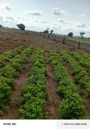 Plot of Land
