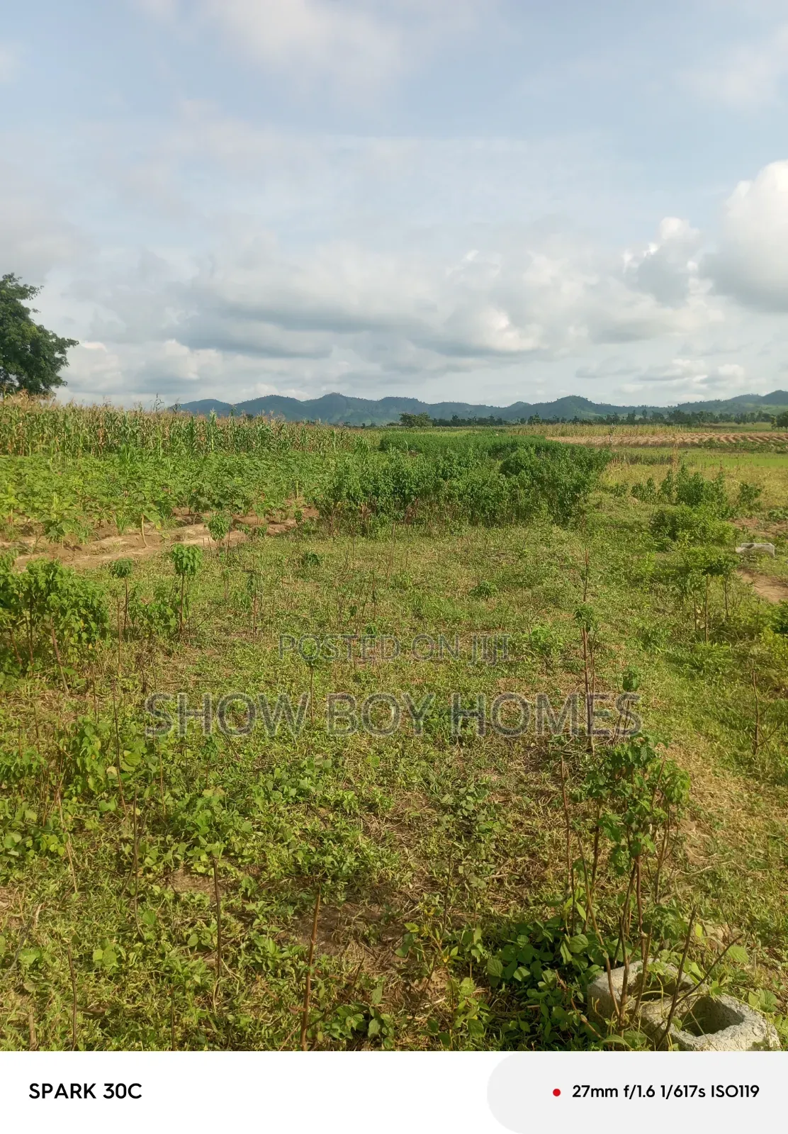 Plot of Land