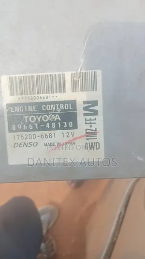 ECU Brian Box RX 300