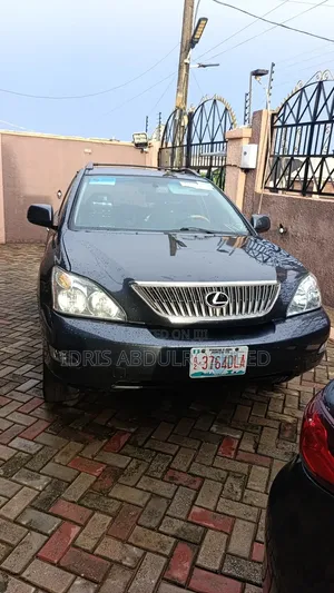 Lexus RX 2009 Blue