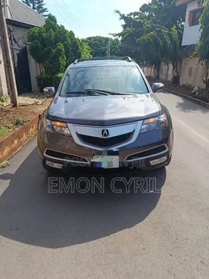 Acura MDX 2010 Gray