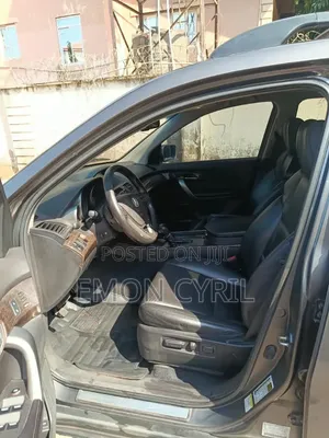 Acura MDX 2010 Gray