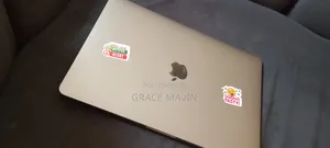 Laptop Apple MacBook 2017 8GB Intel Core i5 SSD 250GB