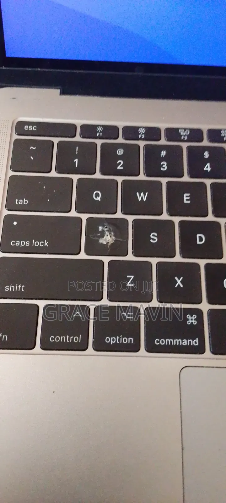 Laptop Apple MacBook 2017 8GB Intel Core i5 SSD 250GB