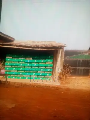 Pepsi Bottles and Crates