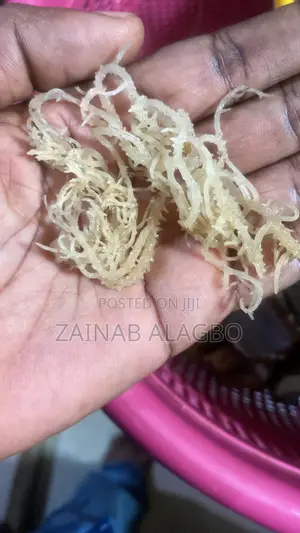 Sea Moss Natural