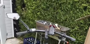 Top Quality Multi-Bike Mirror