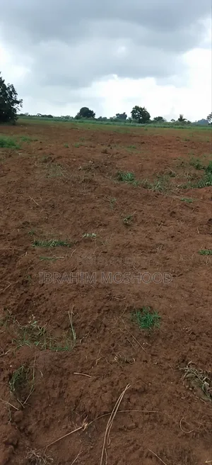 5 Acres of Land Lying at Olugbogi Village Awowo, Ewekoro Local Govt