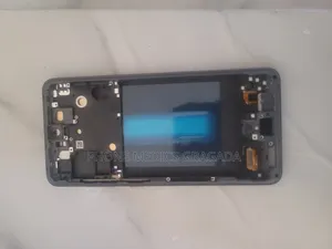 Samsung S21 Fe OLED Screen With Frame and Fingerprint