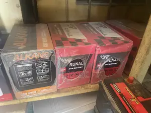 Everstart Car Battery