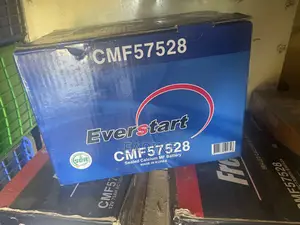 Everstart Car Battery