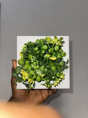 Wall Flower
