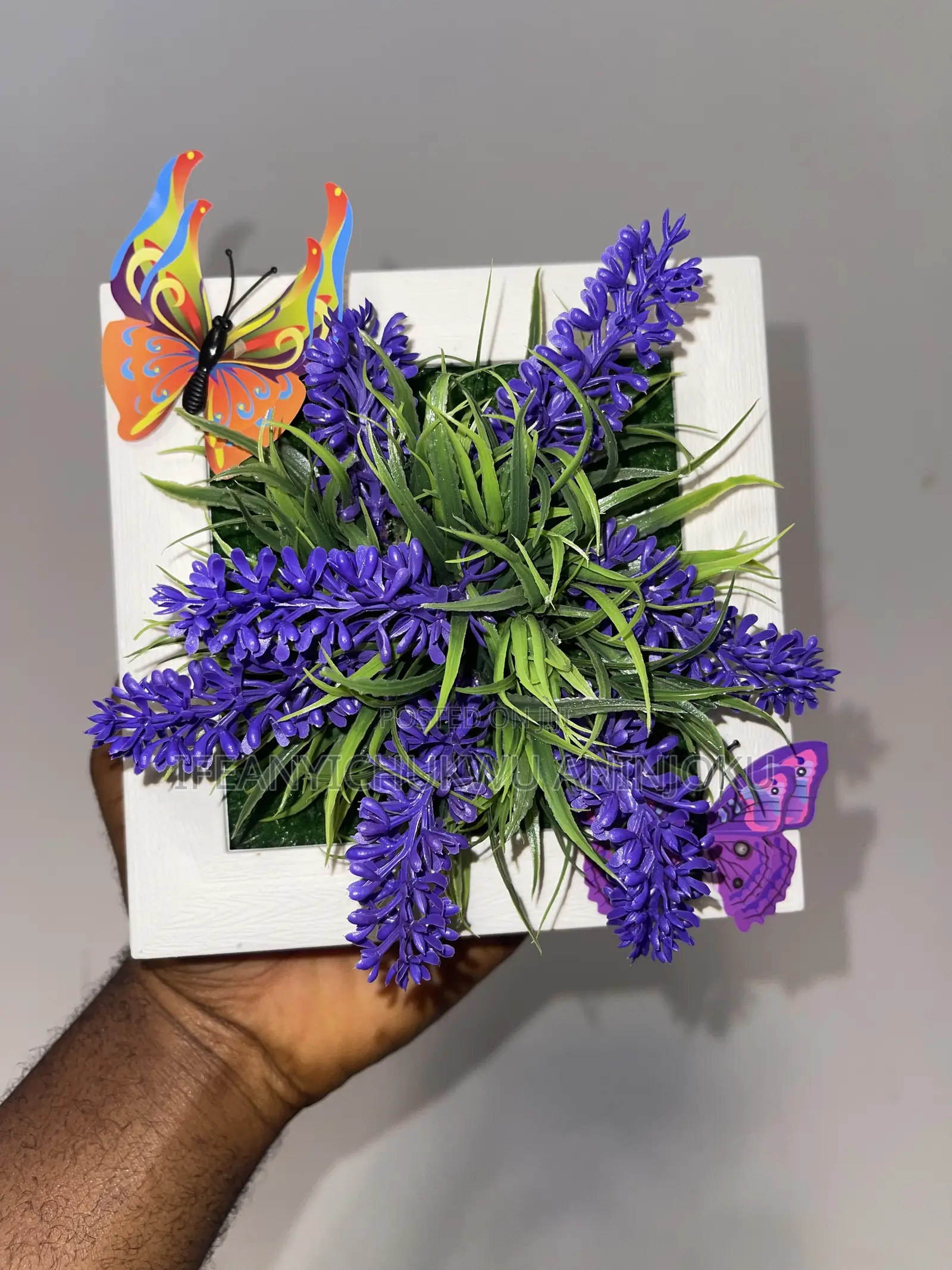 Wall Flower