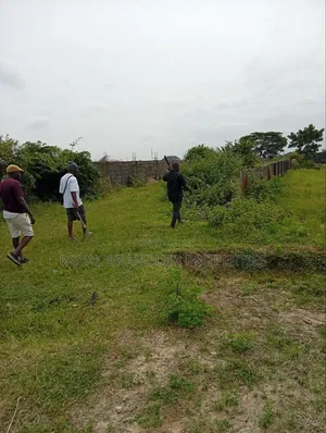  This Ajebo Land Deal Deserves Your Attention!