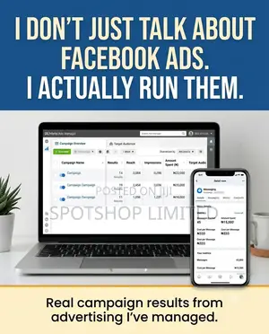 Professional Facebook Instagram Meta Ads Management