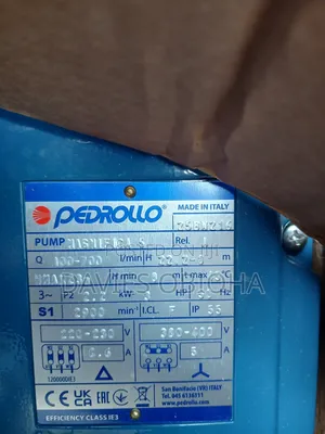 3hp 3phase Pedrollo Swimming Pool Pump