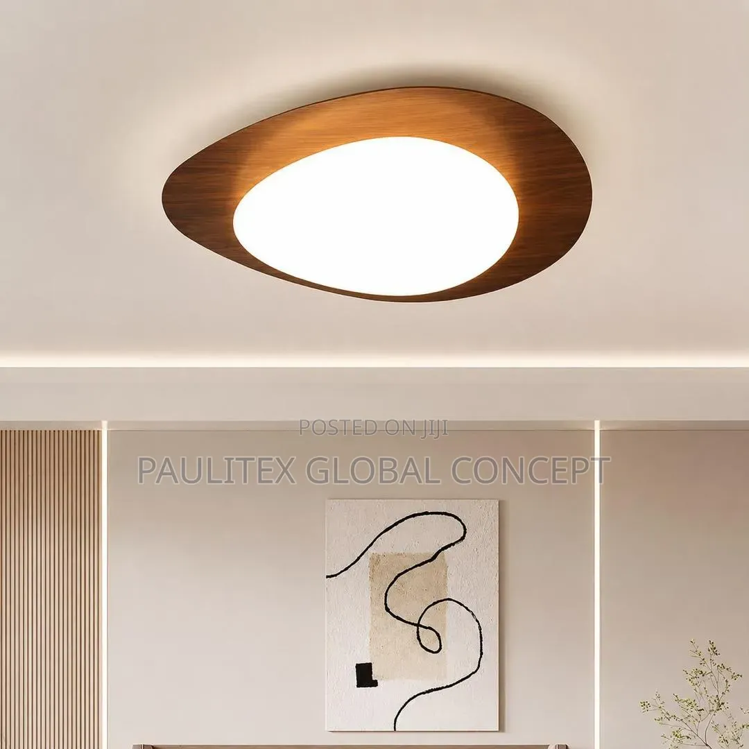 Pebble-Shaped Flush Mount Ceiling Light