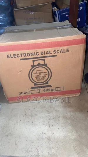 Electronic Digital Scale 60kg