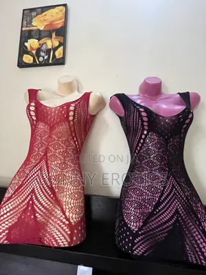 Fish-Net Shape-Wear Lingerie Dress