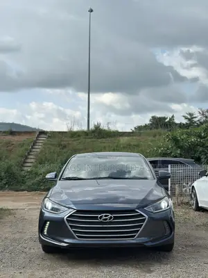 Hyundai Elantra 2017 Gray
