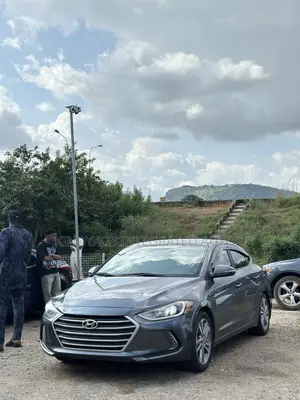 Hyundai Elantra 2017 Gray