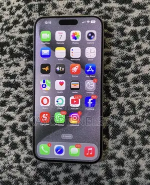 Apple iPhone 15 Pro Max 256 GB Gray