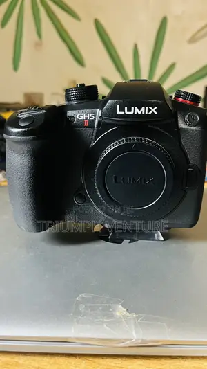 Lumix Gh5 11
