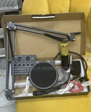 BM-800 Condenser Microphone