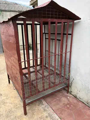 Cage for Your Dog