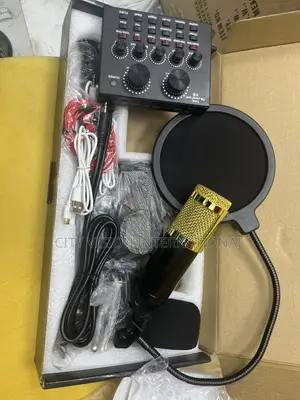 BM-800 Condenser Microphone