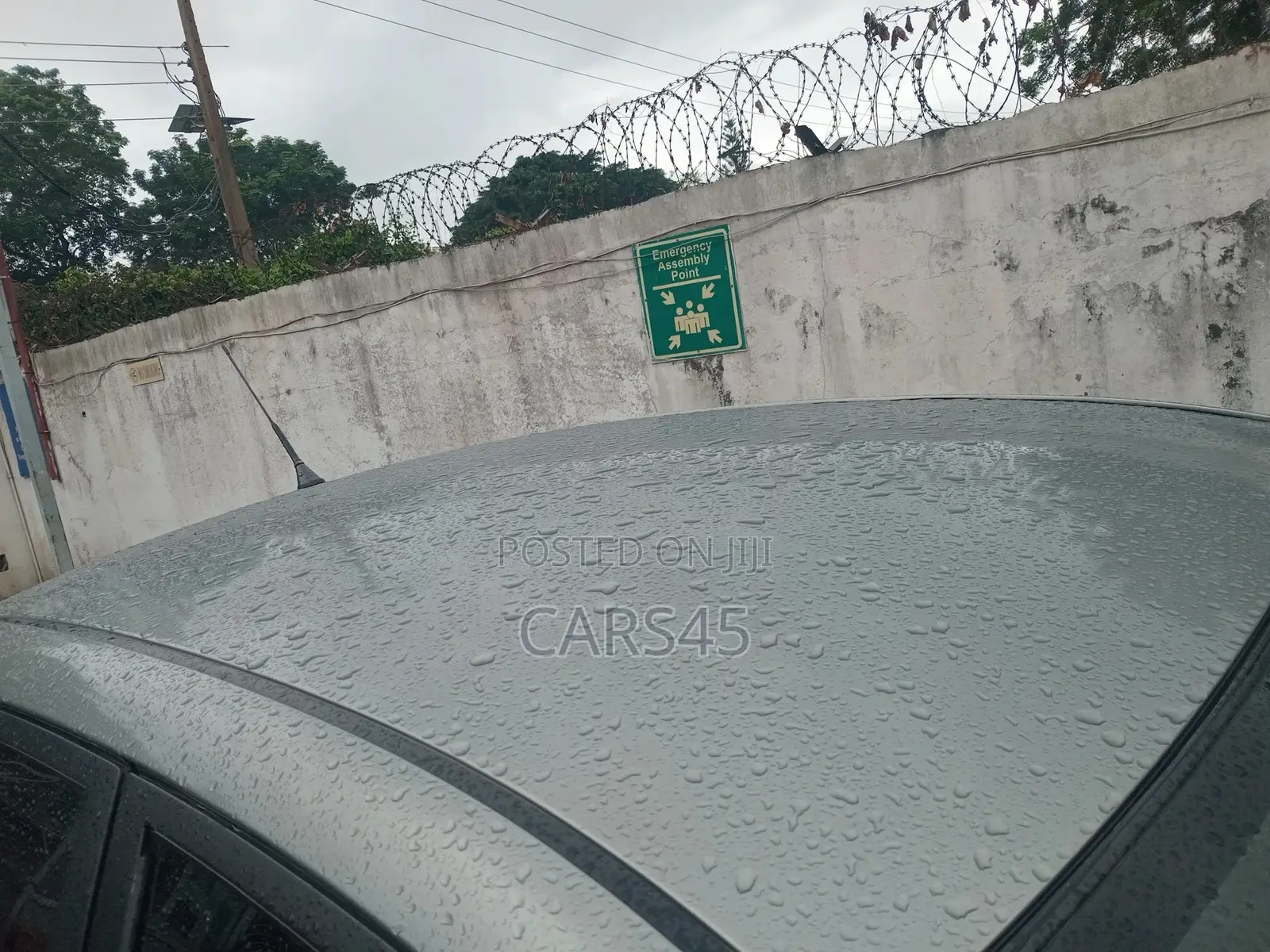 Toyota Corolla 2003 Green