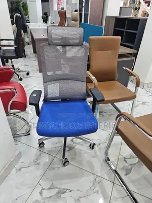 Premium Ergonomic Office Chair