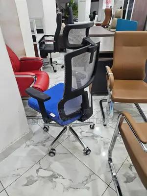 Premium Ergonomic Office Chair