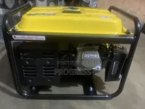 Senwei Petroleum Generator