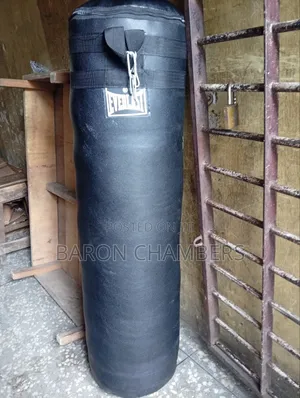 50kg Punching Bag