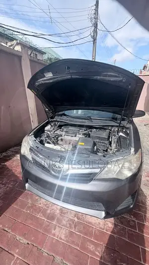 Toyota Camry LE 4dr Sedan (2.5L 4cyl 6A) 2014 Gray