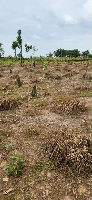 Spacious Residential Land for Sale