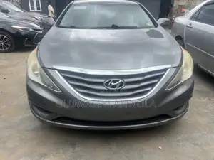 Hyundai Sonata 2010 Gray
