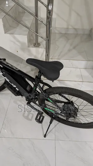DOOK Electric Bike