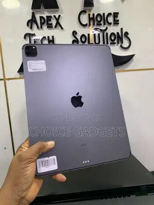 Apple iPad Pro 11 (2020) 256 GB Gray