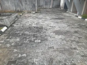 Interlocking Floor Deep Washing