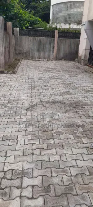 Interlocking Floor Deep Washing